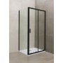 Shower door 110x195 cm Flash Wall 110 Black