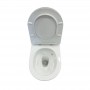 Vivid Wall - hung toilet with seat Vortex 485x370x365 mm