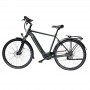 MS ENERGY eBike c501 M