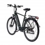 MS ENERGY eBike c501 M