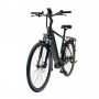 MS ENERGY eBike c501 M