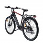 MS ENERGY eBike t10