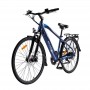 MS ENERGY eBike c11